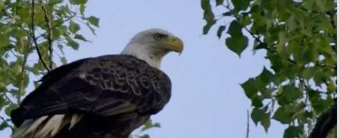 Minnesota’s St. Croix Scenic Byway