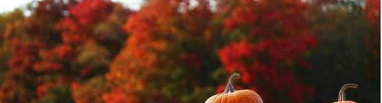 Milltown, WI   Pumpkin Festival    October 13, 2018