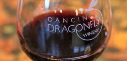 St. Croix Falls, WI. – Dancing Dragonfly Winery – Polar Wine Party – March 9, 2024