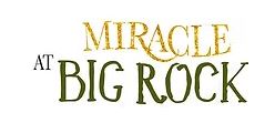 St. Croix Falls, WI – Miracle at Big Rock – December 1 – 31, 2024