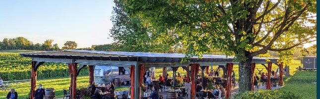 Scandia, MN – Rustic Roots Winery – Outdoor Yoga – June 3, 17, 24, 2025