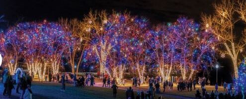 Hudson, WI. – Buena Vista a Stroll in the Park – Nov. 29 – Feb. 9, 2026