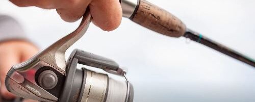 State of Wisconsin – Free State Park Entrance & Fishing Weekend – June 6-7,2026